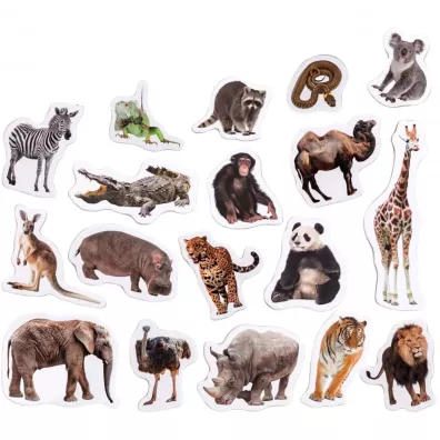 Maksik Zwierz�ta w zoo - zestaw magnes�w