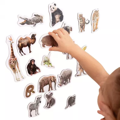 Maksik Zwierz�ta w zoo - zestaw magnes�w