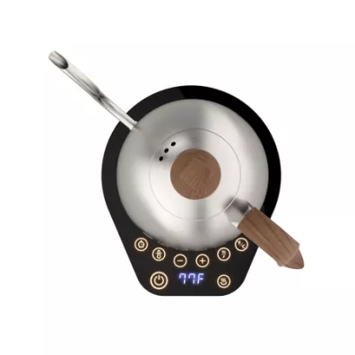 Brewista Artisan Variable Temperature Kettle Czajnik elektryczny 1 l