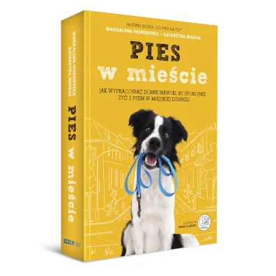 Pies w mie�cie (2024)