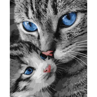 Ideyka Malowanie po numerach - Mrucz�ca mama 40x50cm