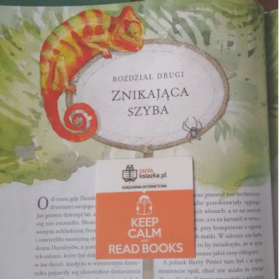 Harry Potter i Kamie Filozoficzny. Tom 1 Wydanie ilustrowane