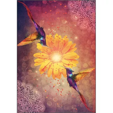 Hummingbird Wisdom Oracle Cards