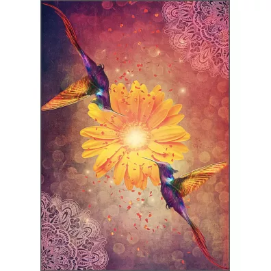 Hummingbird Wisdom Oracle Cards