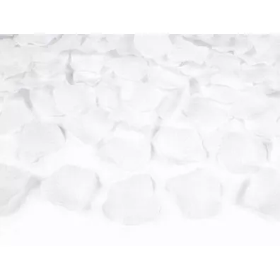 PartyDeco P�atki r� w woreczku