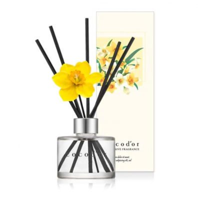 Cocodor Dyfuzor zapachowy Daffodil Vanilla & Sandalwood PDI30934 120 ml