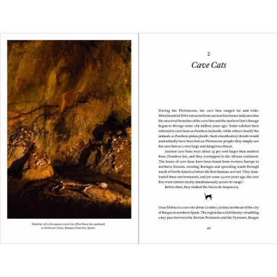 Cat Tales