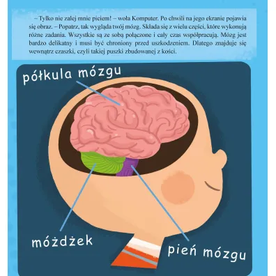 M�zg