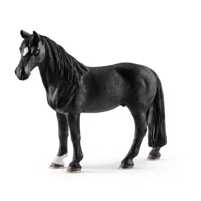 Waach rasy Tennessee Walker