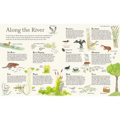 Mouse on the River