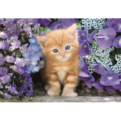 Puzzle 500 el. Gattino Rosso Clementoni