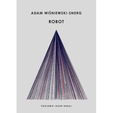 Robot - Adam Wi�niewski-Snerg