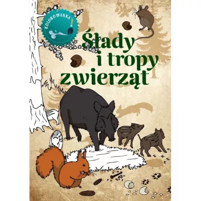 �lady i tropy zwierz�t. Kolorowanka - Katarzyna Kopiec-Sekieta