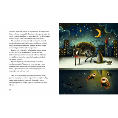 Ry� miasta