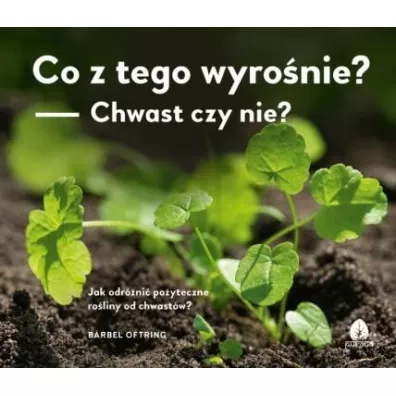 Co z tego wyronie? Chwast czy nie? - Brbel Oftring