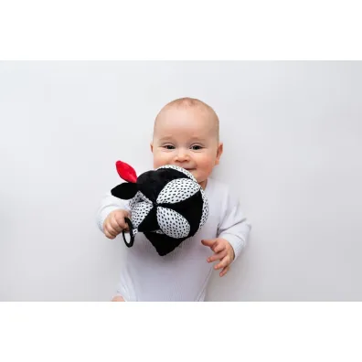 Pi�ka Takana z lusterkiem kontrastowa Hencz Toys
