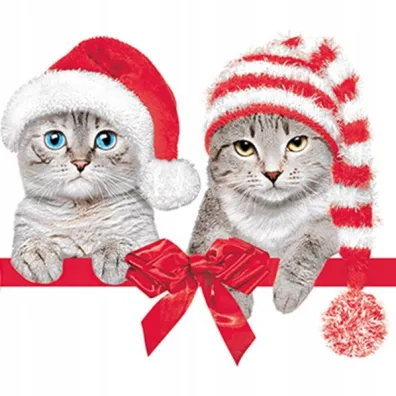 Serwetki Lunch Maki BN - Lovely Cats in Christmas Hats SLGW026201