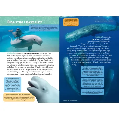Ma�a encyklopedia. Zwierz�ta morskie