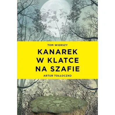 Kanarek w klatce na szafie - Artur To��oczko