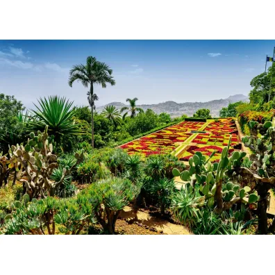 Puzzle 1000 el. Ogr�d Botaniczny Madera Ravensburger