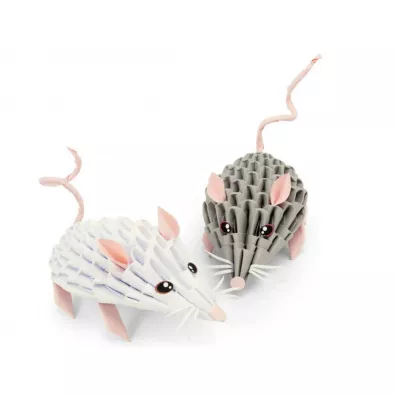 Origami 3D. Myszki Alexander