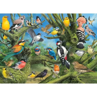 Puzzle 1000 el. Ptaki ogrodowe, Joahn Franc Eurographics