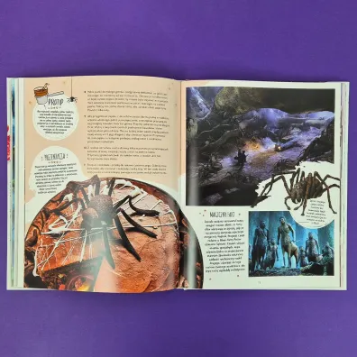 Harry Potter. Oficjalna ksi�ga magicznych wypiek�w