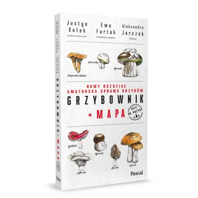 Grzybownik + mapa