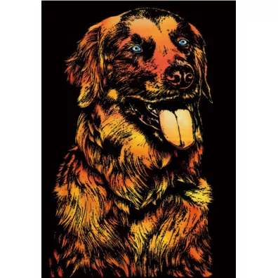 Dog. Magiczna zdrapka - wydrapywanka