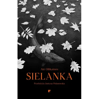 Sielanka - Aki Ollikainen