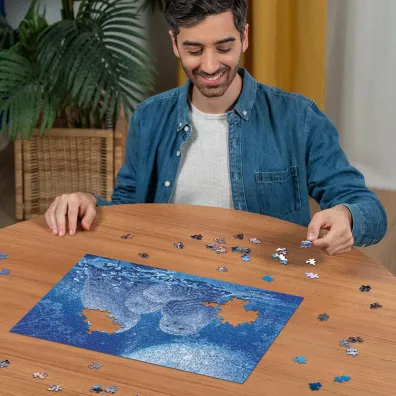 Puzzle 500 el. �wiec�ce w ciemno�ci - Sowy Ravensburger