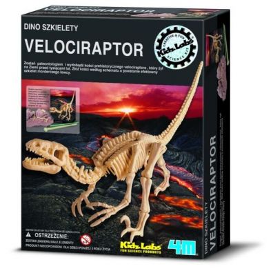 Wykopaliska - Velociraptor 4M