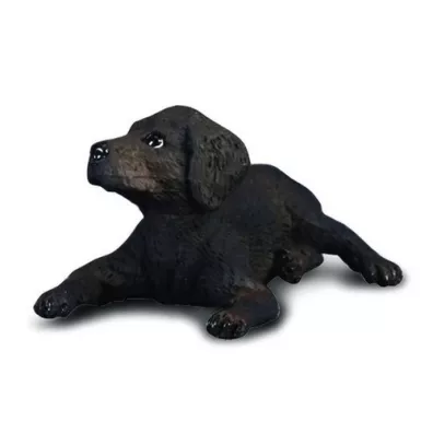 Pies labrador szcz�ni�