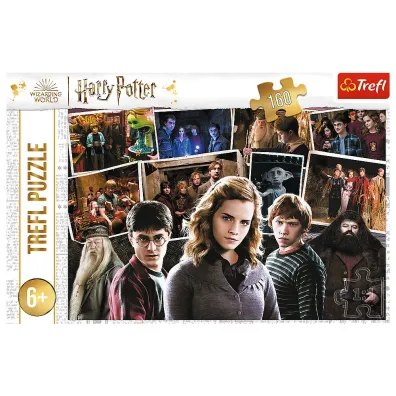 Puzzle 160 el. Harry Potter i przyjaciele Trefl