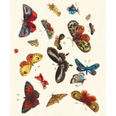 Museums & Galleries Karnet z kopert� Butterfly design decorati