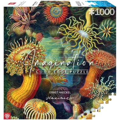 Puzzle 1000 el. Ernst Haeckel: Stworzenia morskie Good Loot