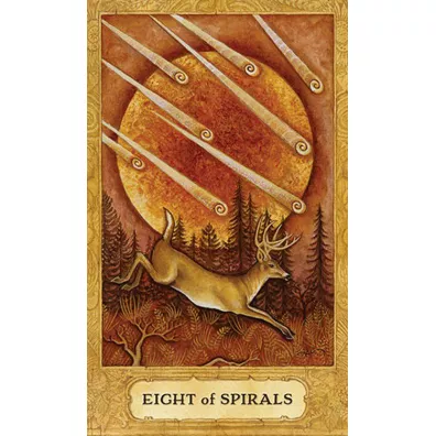 Chrysalis Tarot, karty do wr�enia