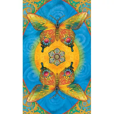 Chrysalis Tarot, karty do wr�enia