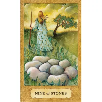 Chrysalis Tarot, karty do wr�enia