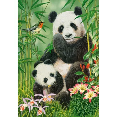 Puzzle 1000 el. Panda Brunch Castorland