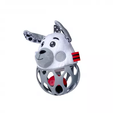 Pika-grzechotka Pies Dumel