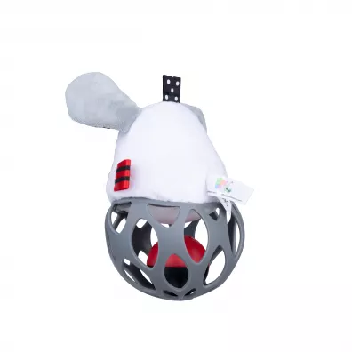 Pika-grzechotka Pies Dumel