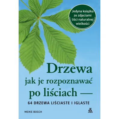 Drzewa – jak je rozpoznawa� po li�ciach - Meike Bosch