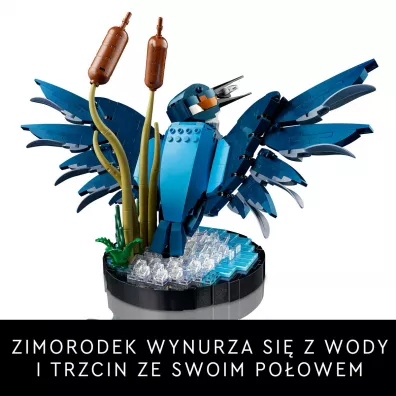 LEGO Icons Zimorodek 10331