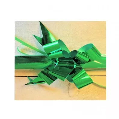 Mk Trade Wst��ka �ci�gana zielona 2,5cm, 25 szt.op.
