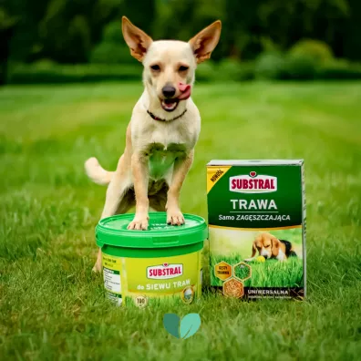 Substral Mieszanka traw uniwersalnych samozag�szczaj�cych 1 kg