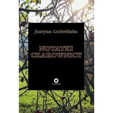 Notatki czarownicy - Justyna  Ludwi�ska