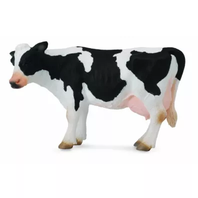 Krowa Friesian