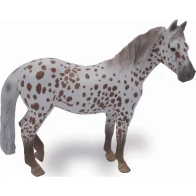 Klacz British Spotted Pony ma�ci kasztan 004-88750