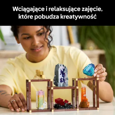LEGO Ideas Kolekcja minera��w 21362